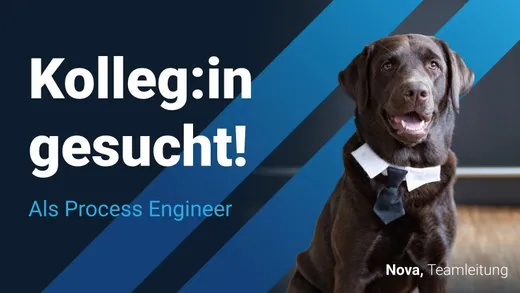Stellenanzeige „Kolleg:in gesucht! Als Process Engineer“ mit Bürohündin Nova in Hemdkragen und Krawatte